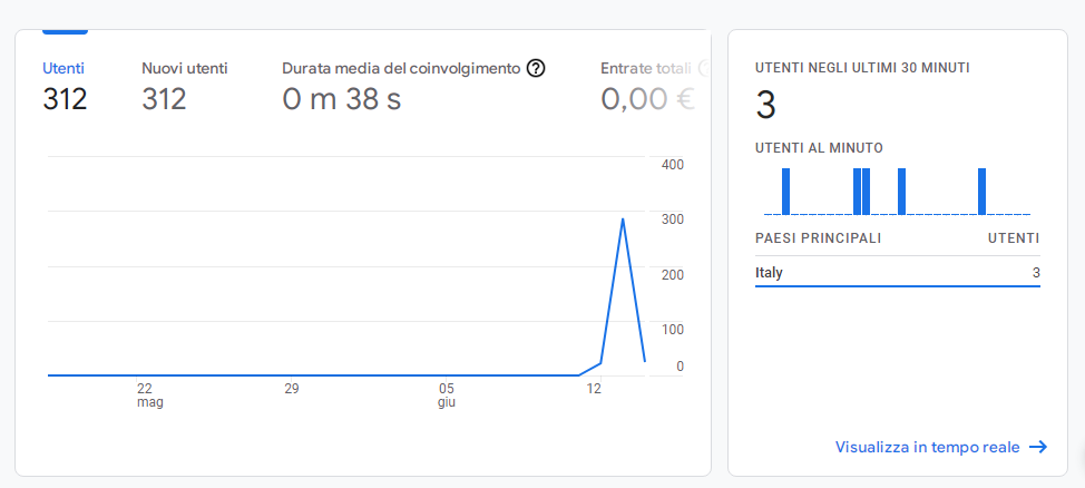 risultati google analytics